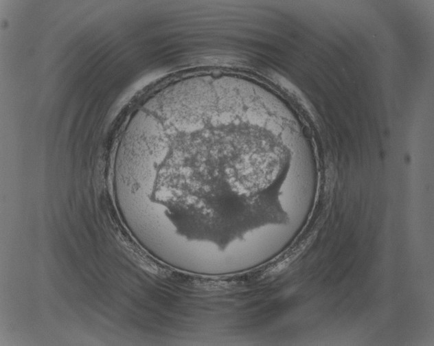 X0000081371019200702020200