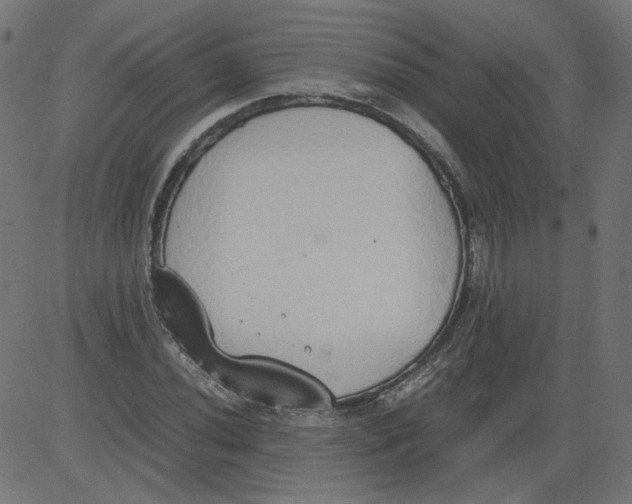 X0000081371020200702020200