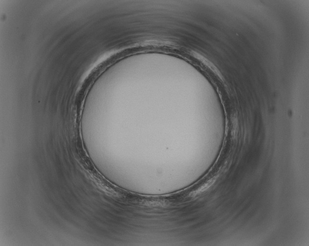 X0000081371021200702020200