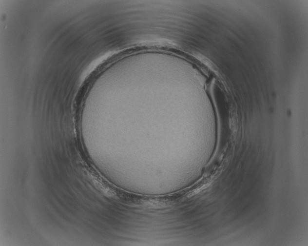 X0000081371022200702020200