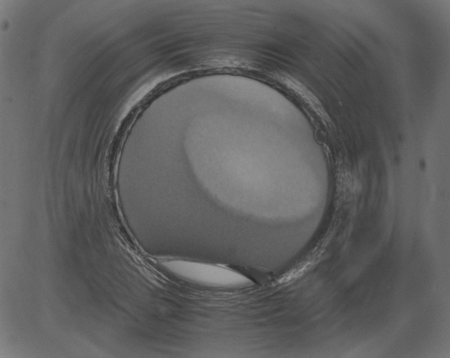 X0000081371023200702020200