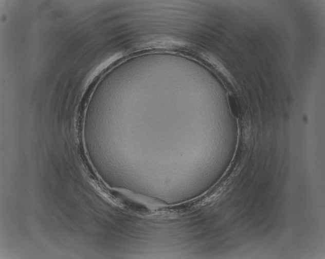 X0000081371026200702020200