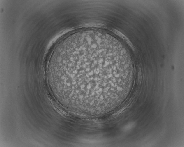 X0000081371027200702020200