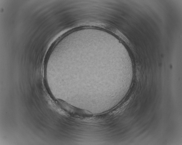 X0000081371028200702020200