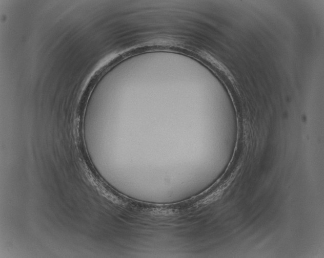 X0000081371029200702020200