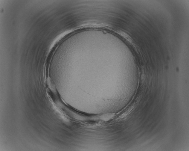 X0000081371030200702020200