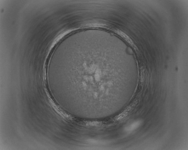 X0000081371031200702020200