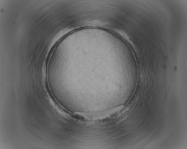 X0000081371032200702020200