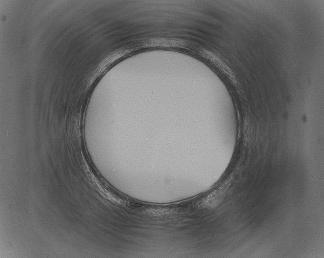 X0000081371033200702020200