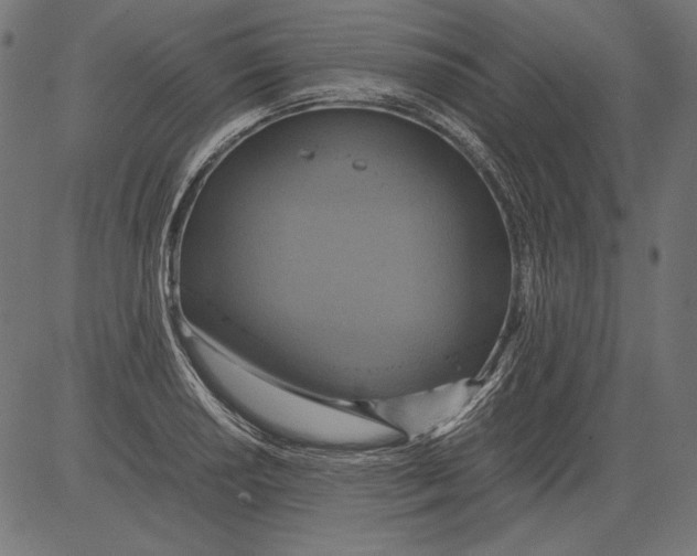 X0000081371034200702020200