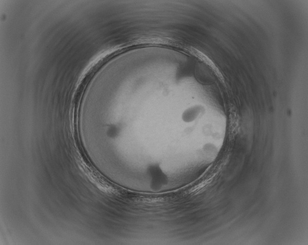 X0000081371035200702020200