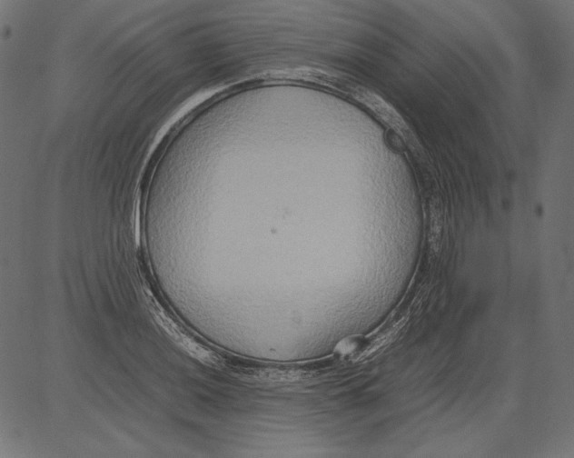 X0000081371036200702020200