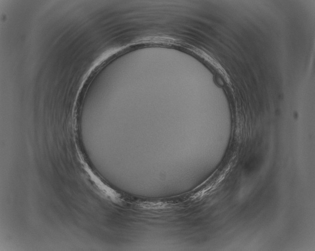 X0000081371037200702020200