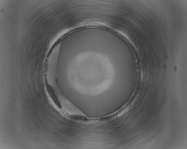 X0000081371038200702020200