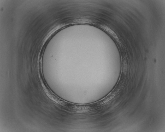 X0000081371039200702020200