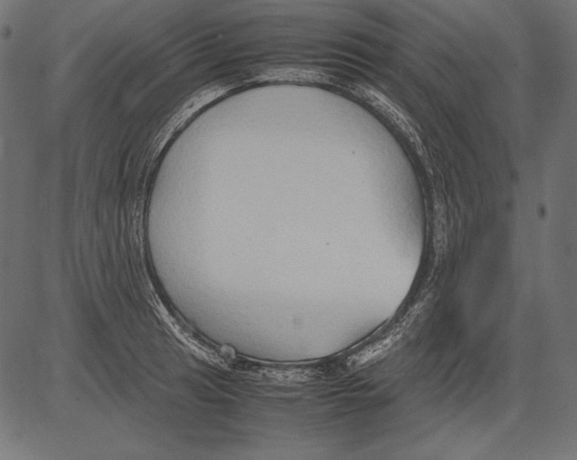 X0000081371041200702020200