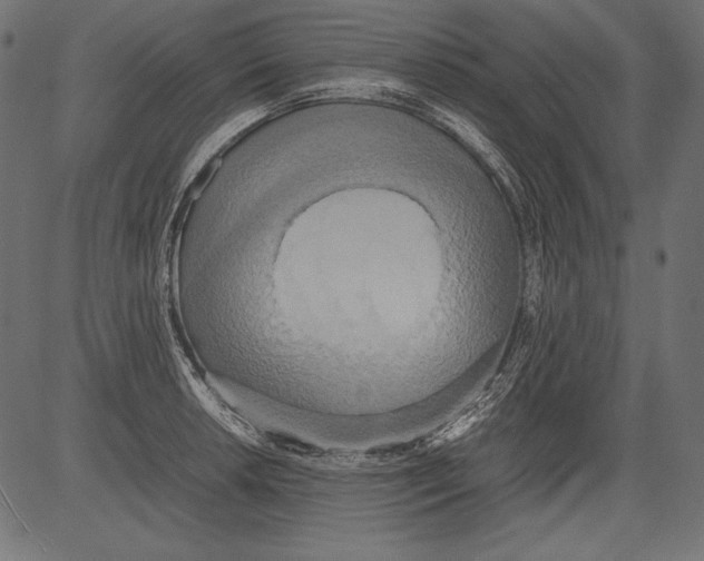 X0000081371042200702020200