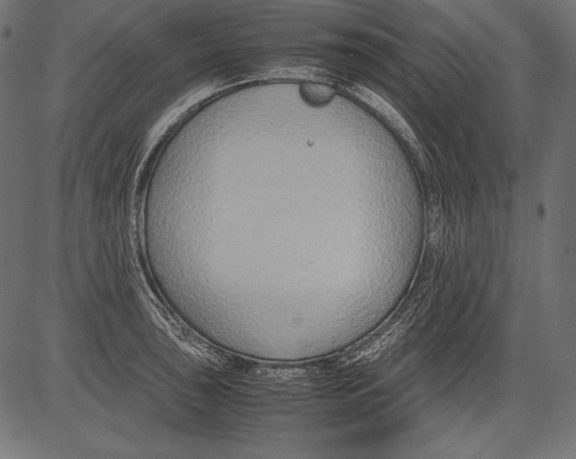 X0000081371043200702020200