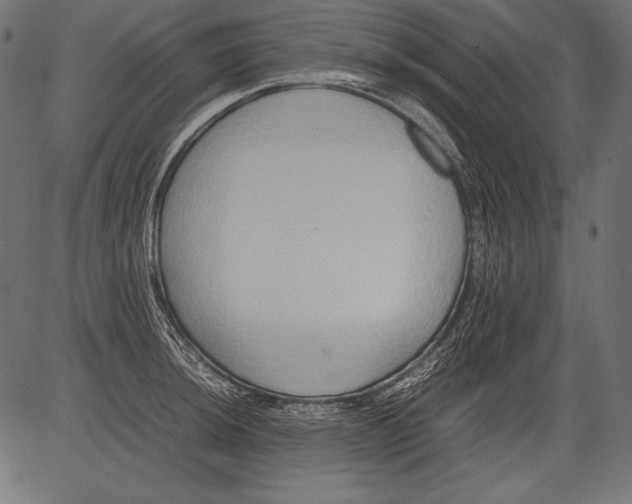 X0000081371044200702020200