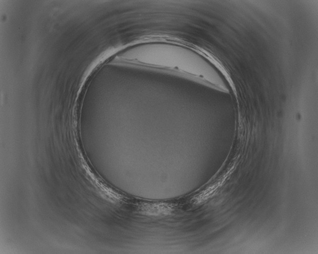 X0000081371045200702020200