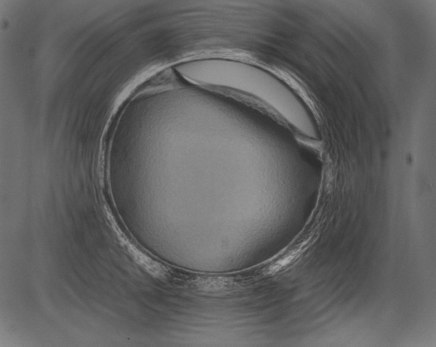 X0000081371046200702020200