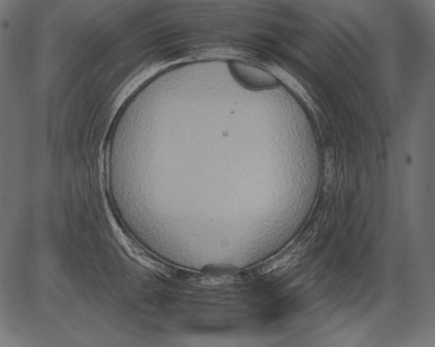 X0000081371047200702020200