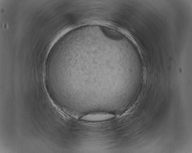 X0000081371048200702020200