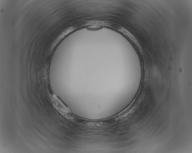 X0000081371049200702020200