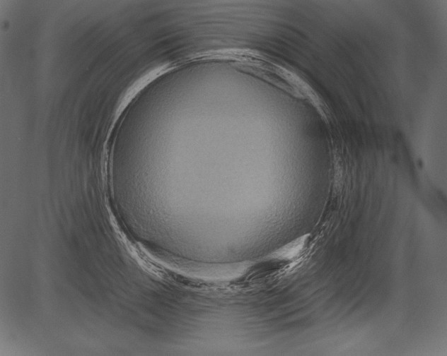 X0000081371050200702020200