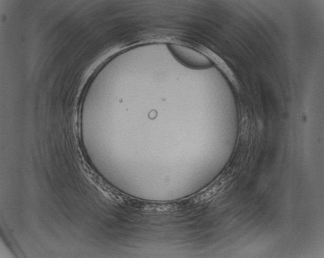 X0000081371051200702020200