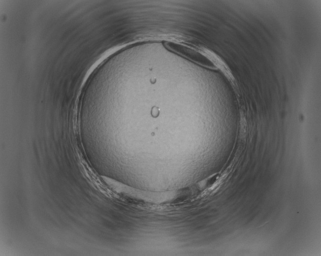 X0000081371052200702020200