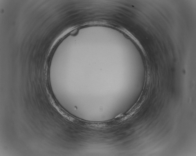 X0000081371053200702020200