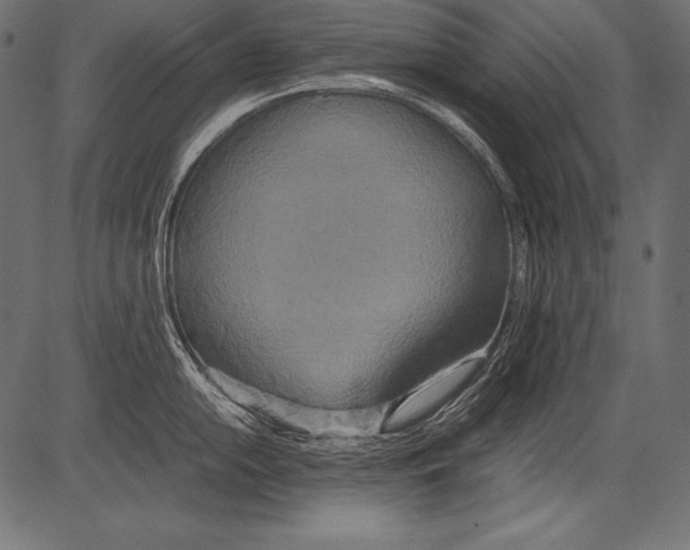 X0000081371054200702020200