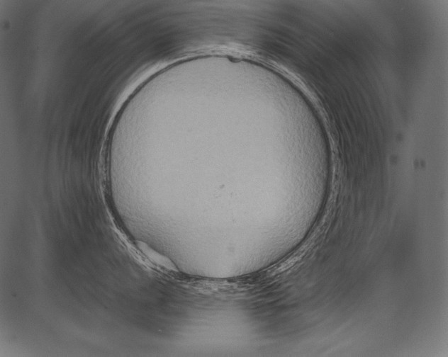 X0000081371056200702020200