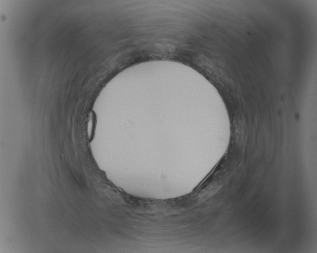 X0000081371057200702020159