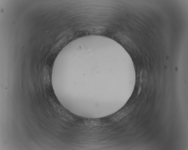 X0000081371058200702020159