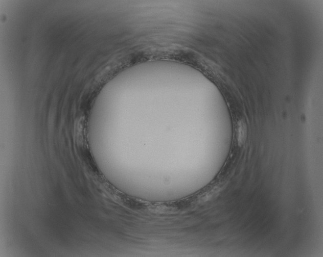 X0000081371059200702020159