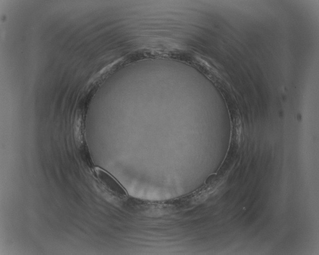 X0000081371060200702020159