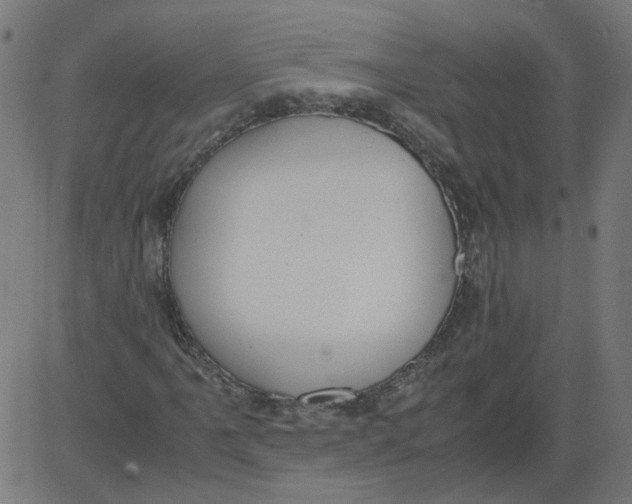 X0000081371061200702020159