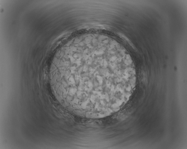 X0000081371063200702020159