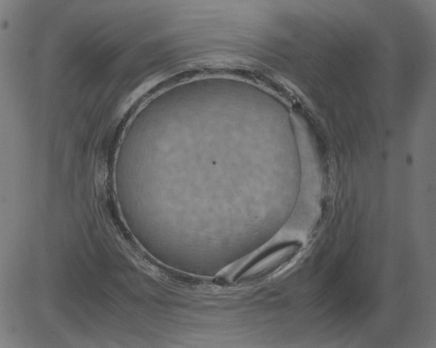 X0000081371065200702020159