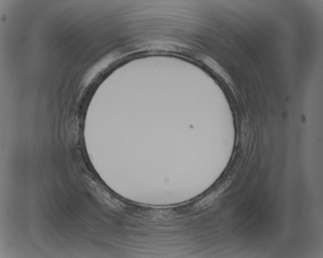 X0000081371067200702020159