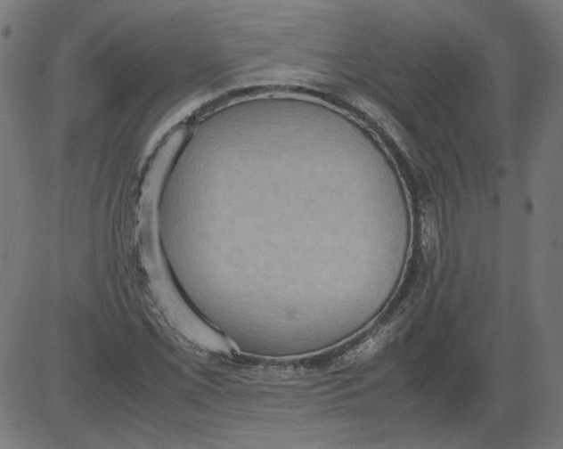 X0000081371069200702020159