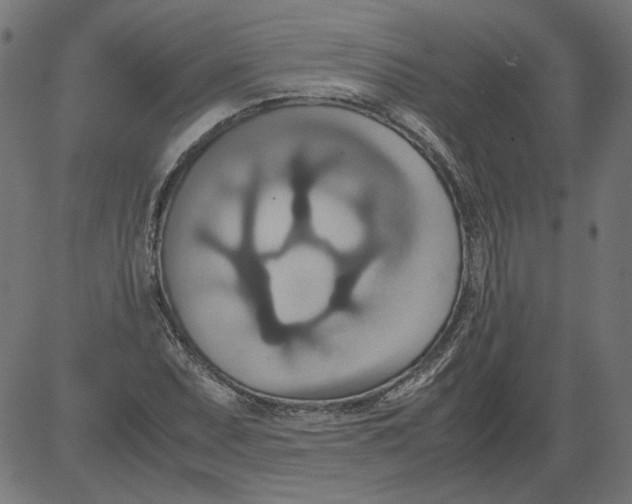 X0000081371071200702020159