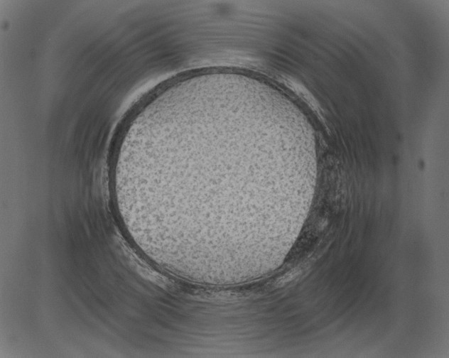 X0000081371072200702020159