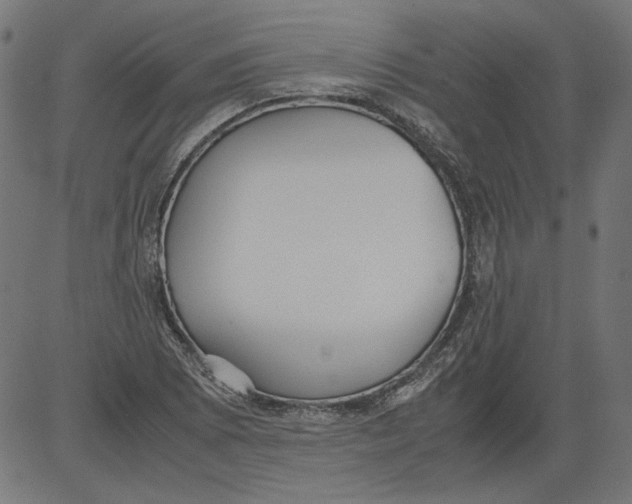 X0000081371073200702020159