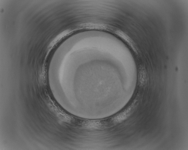 X0000081371074200702020159