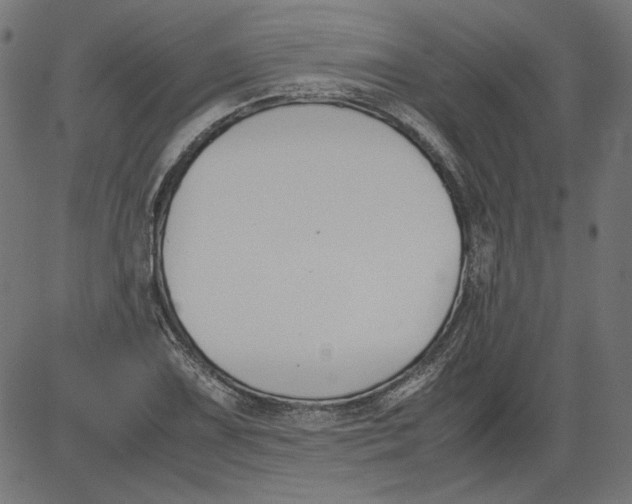 X0000081371075200702020159