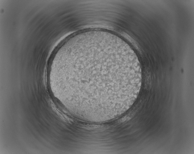 X0000081371076200702020159