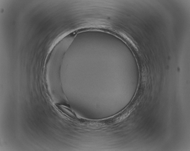 X0000081371077200702020159